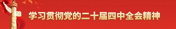 学习贯彻党的二十届四中全会精神