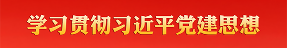 学习贯彻习近平党建思想
